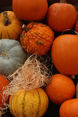 Autumn Decoration pumpkins