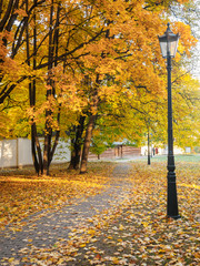 Orange yellow maple foliage in the autumn park . Beautiful autumn background. Lonely personal lantern in the autumn square
