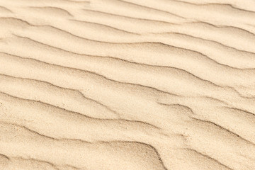 full frame background of smooth sand wave texture