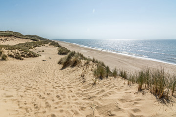 Fototapeta na wymiar Hiking trail in beautiful dune landscape with beach and ocean in the background on the island of Sylt, Germany