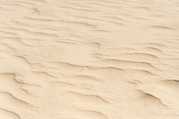 Naklejka na ściany i meble nature backround of smooth sand wave texture