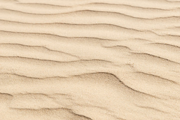 Fototapeta na wymiar nature backround of smooth sand wave texture