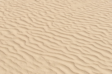 nature backround of smooth sand wave texture