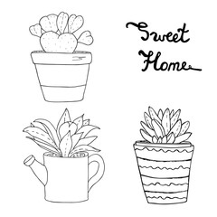  Succulents, cactuses, plants in flower pots.  Various house flowers vector collection. Hand drawn sweet home sketch. Coloring book page