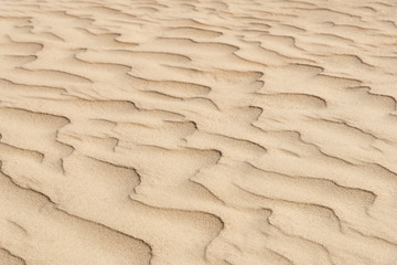 nature backround of smooth sand wave texture