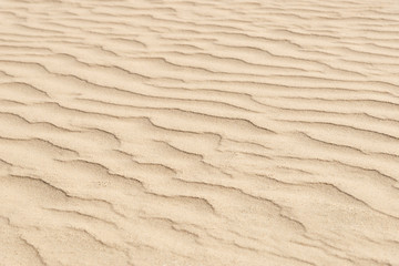 Fototapeta na wymiar nature backround of smooth sand wave texture