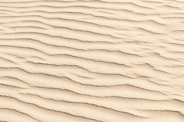 nature backround of smooth sand wave texture