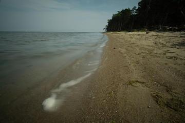 landscape and wildlife