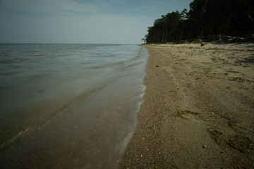 landscape and wildlife