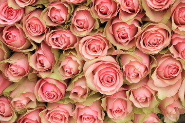 Pink rose bouquet