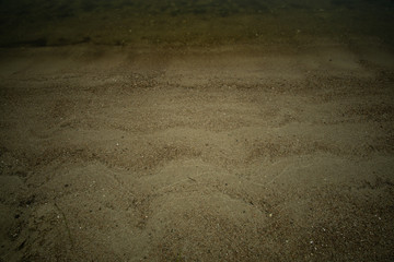 landscape and wildlife