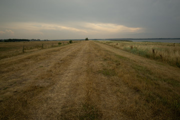 landscape and wildlife