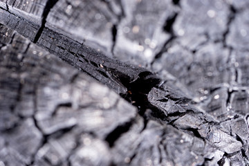 Burnt wood black background. Surface of charcoal. Charred tree texture