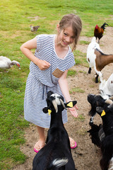 beautiful girl on holiday at the farm donating to goats