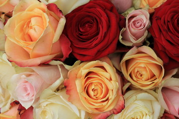 Mixed pink roses