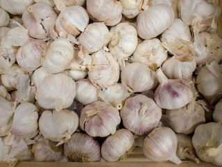 Raw garlic bulbs on showcase at a marketplace