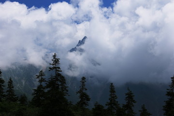 北アルプス笠ヶ岳への道　小池新道　鏡平の風景　雲中に頭を覗かす槍ヶ岳