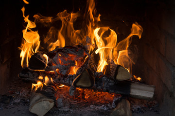 the fire