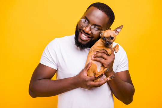 Close up photo of dark skin guy in love with little god in hands wear casual outfit isolated yellow background