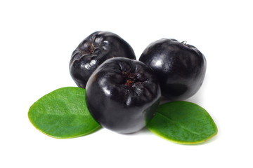 Chokeberry with green leaves isolated on white background. Black aronia