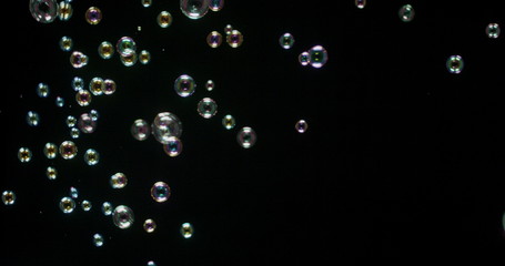 Floating bubbles isolated over a black background