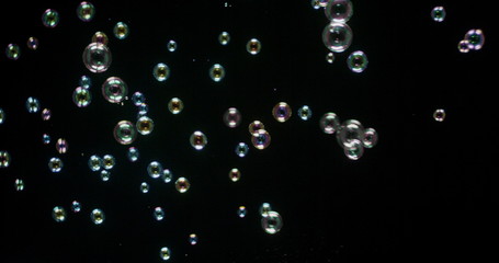 Floating bubbles isolated over a black background
