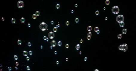 Floating bubbles isolated over a black background