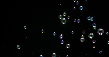 Floating bubbles isolated over a black background
