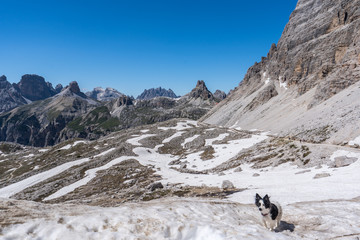 Wandern mit Hund auf dem Drei-Zinnen-Rundweg in den Sextner Dolomiten