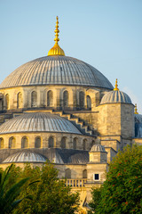 The Blue Mosque - Sultanahmet Camii - Istanbul, Turkey