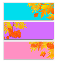 Fototapeta na wymiar Set of horizontal autumn banners for seasonal sale with falling leaves and rowan berries.