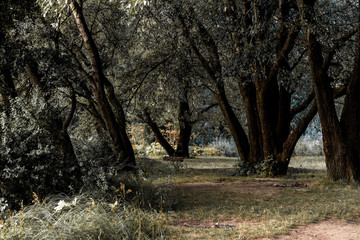 Fototapeta premium summer landscape misty morning on the river in the Ural Mountains and the railroad along the shore