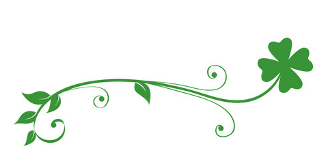green tendril clover isolated on white background vector illustration EPS10 - obrazy, fototapety, plakaty