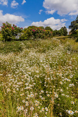 Obraz premium gardens at kiftgate court in the cotswolds england uk