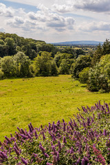 gardens at kiftgate court in the cotswolds england uk