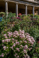 Fototapeta premium gardens at kiftgate court in the cotswolds england uk