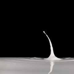 Milk drop splash 