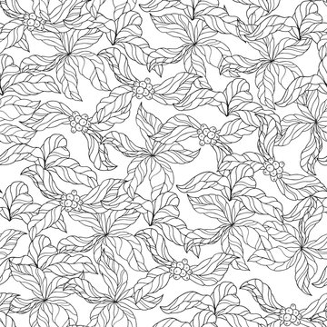 Seamless pattern with ornate coffee branches with leaves and beans. Vintage floral background. Vector isolated illustration.