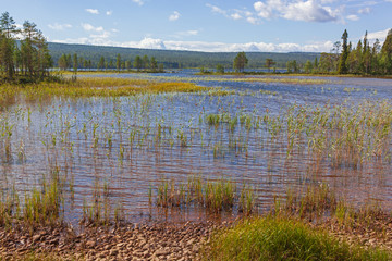 Scenic summer arctic landscape near Jokkmokk in Northern Swedish
