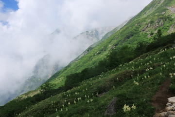 北アルプス笠ヶ岳への道　笠新道　杓子平の風景　縦走路の稜線を仰ぎ見る　