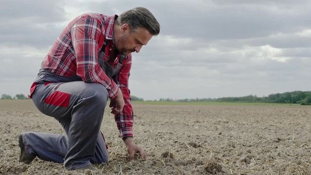 Farmer cheking soil on a field