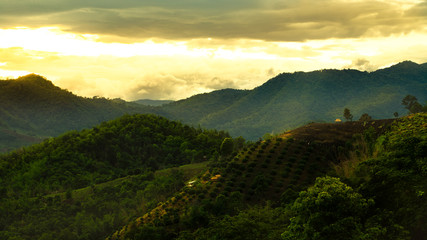 Nature, evening, photography, landscapes, mountains, Chiang Rai