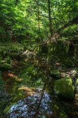 Fototapeta na wymiar Akame 48 Waterfall, Mie Prefecture