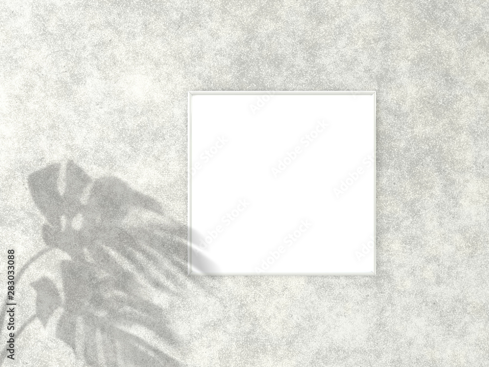 Poster 1x1 square white frame for photo or picture mockup on concrete background with shadow of monstera le
