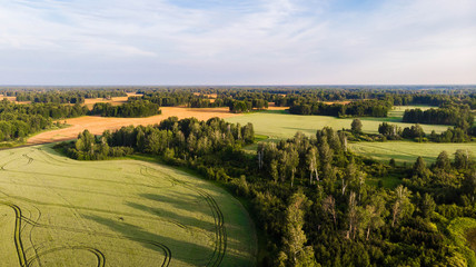Aerial shot.  Colorful fields with many islands of green trees. On bright sunny day