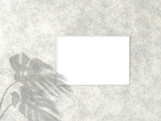 2x3 horizontal White frame for photo or picture mockup on concrete background with shadow of monstera leaves. 3D rendering.