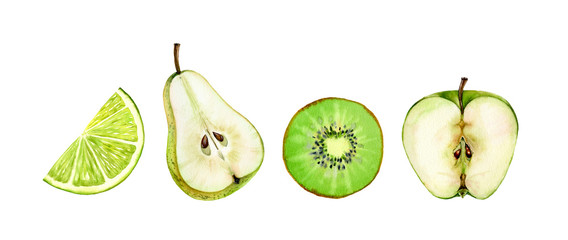 fruits half slice set green apple pear kiwi lime seeds realistic botanical watercolor illustration juicy isolated on white hand drawn, tropical food exotic food for label design