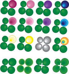 floral vector icons with color variations