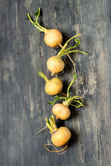 Yellow ripe turnip on a dark wooden background with copy space.