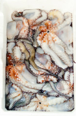 Fresh octopuses in a box at fish market